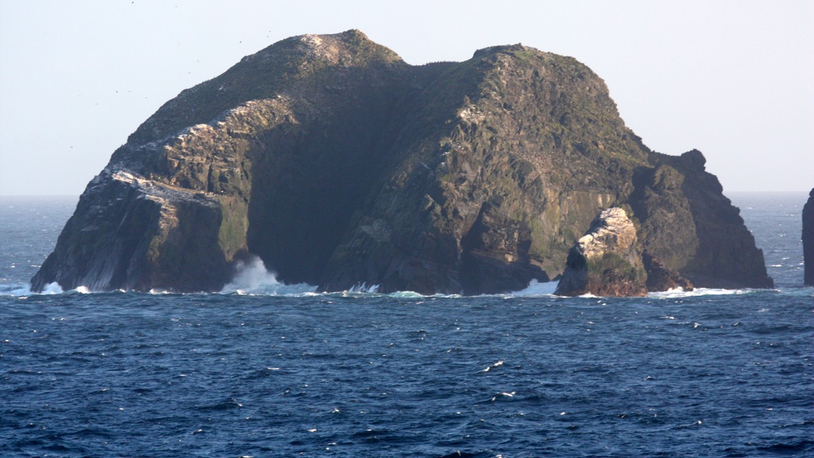 Rocks covered with birds