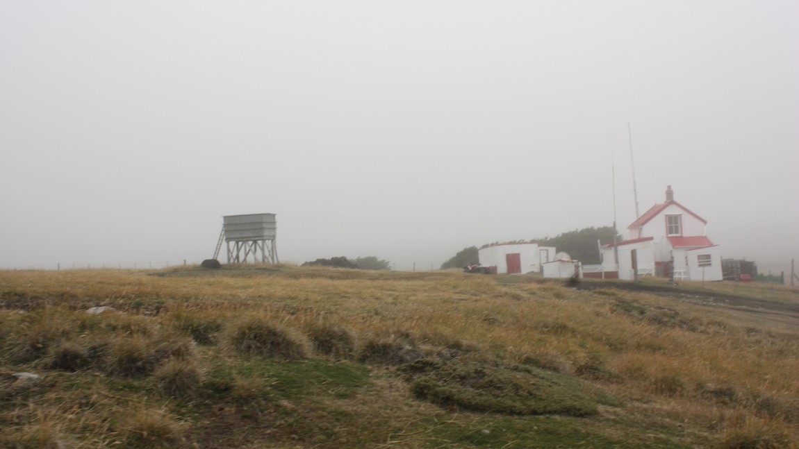 Arriving at the Penguin colony