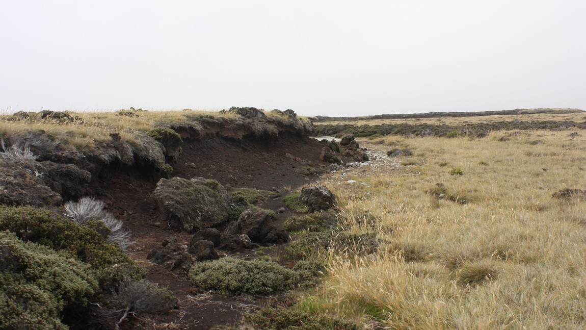 East of Johnson's Harbour