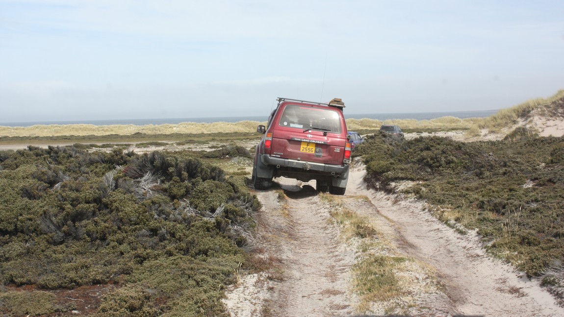 Bumpy trail