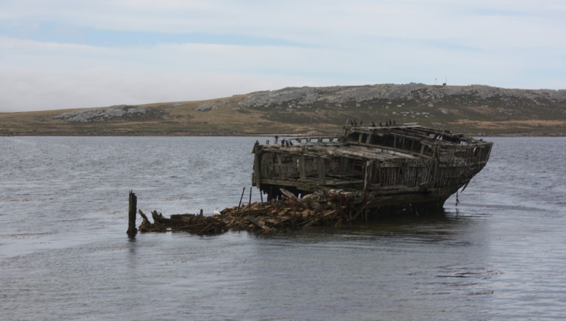Shipwreck in Stanley Harbour
