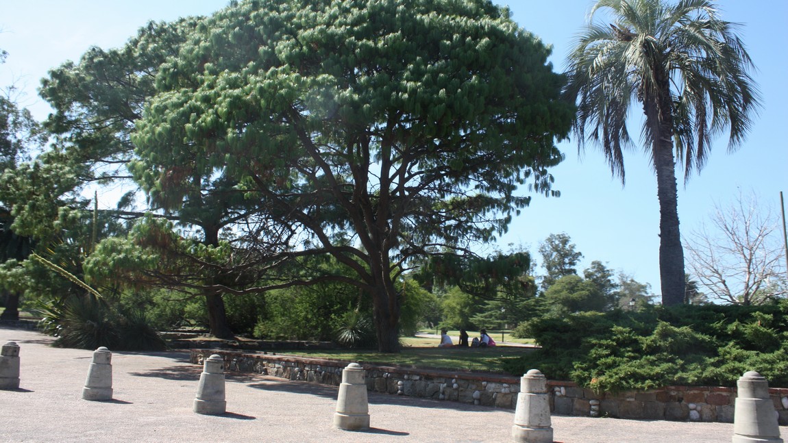 Prado Park