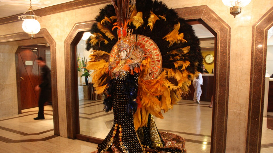 Fancy carnival costume