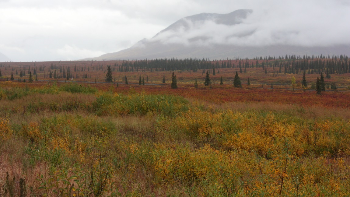 In Broad Pass