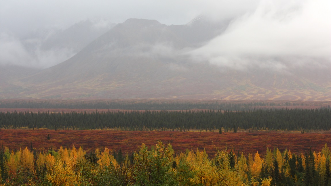 Fall colors in Broad Pass