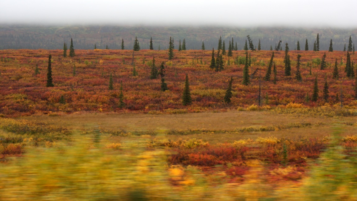 Passing through Broad Pass