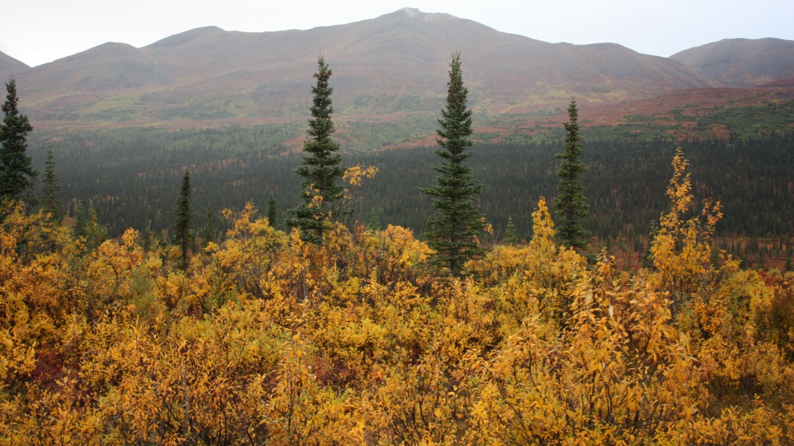 A few miles east of Cantwell