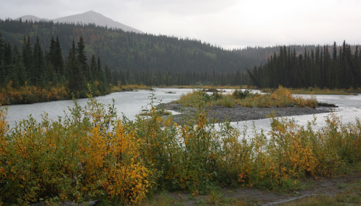 Nenana River