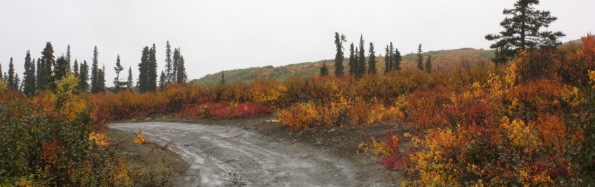 Denali Highway header