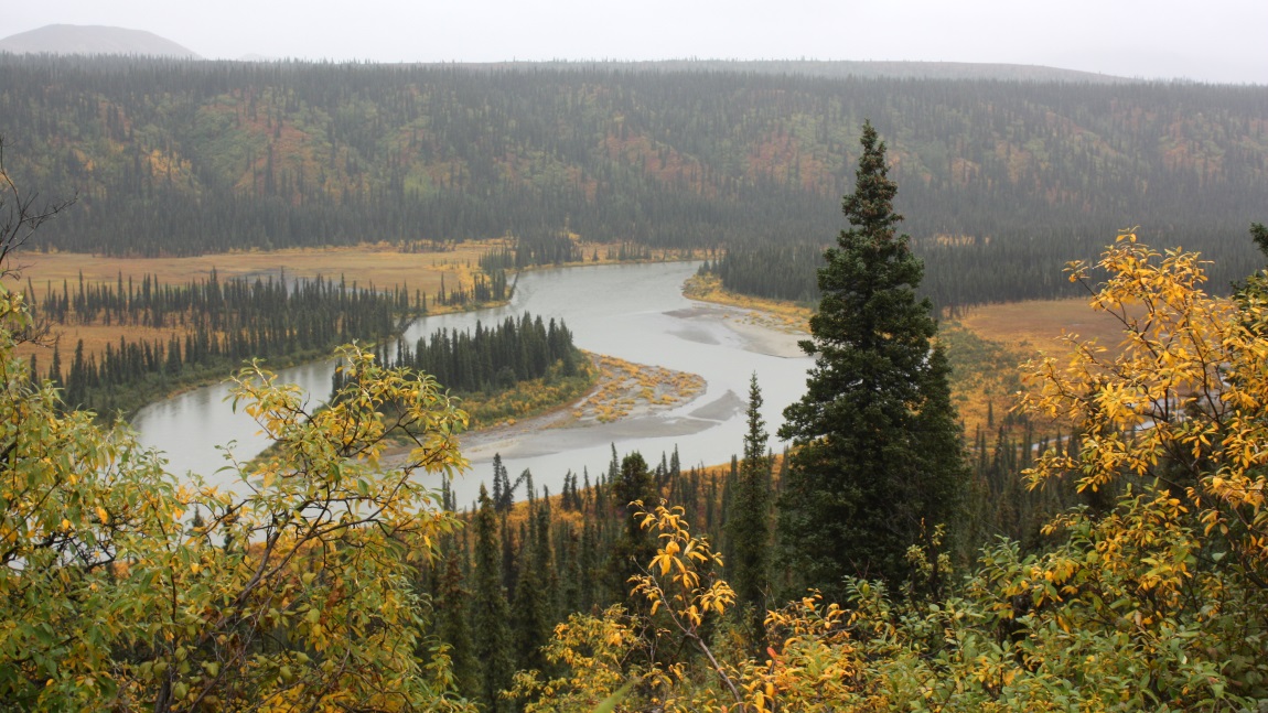 Overlooking the Nenana River