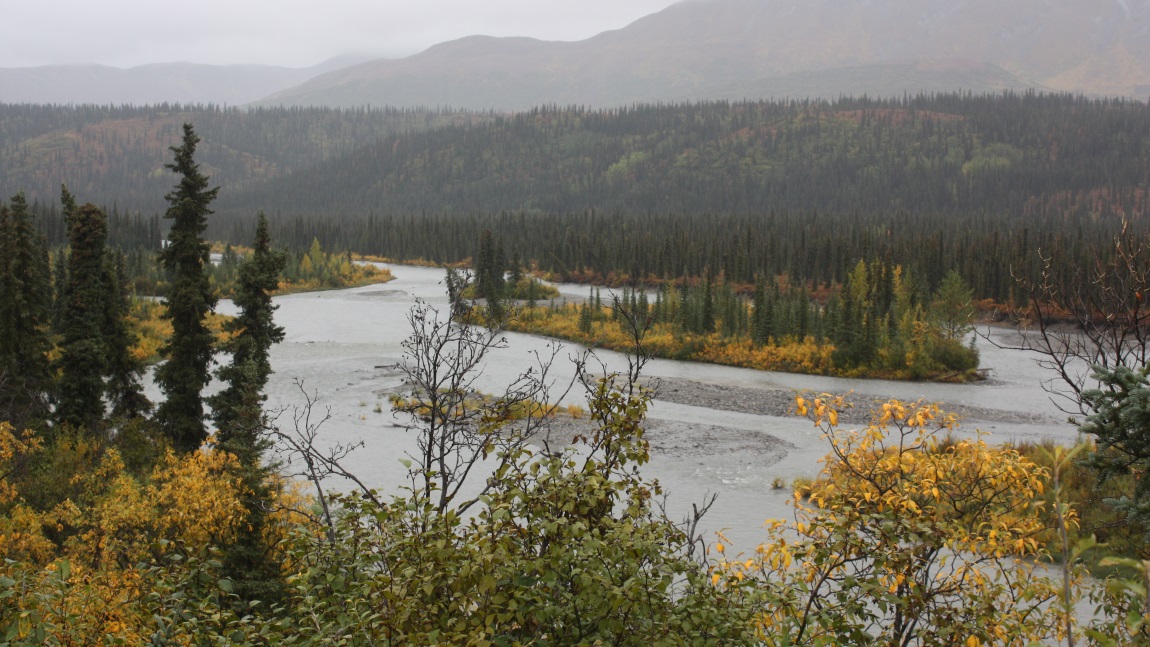 Overlooking the Nenana River
