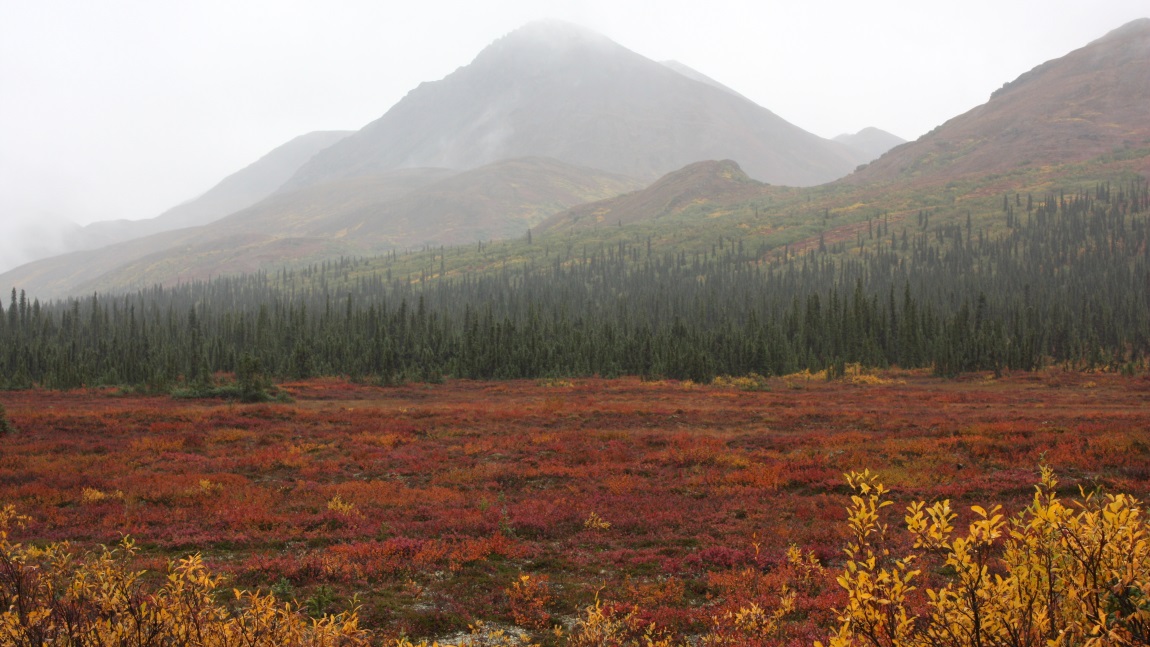 Twelve miles east of Cantwell