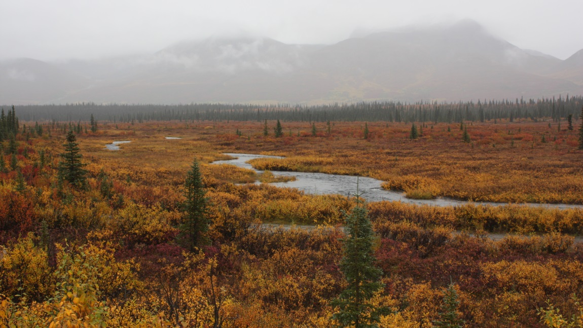 Twelve miles east of Cantwell