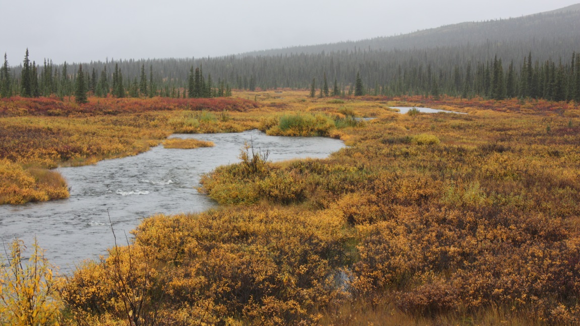 Ten miles east of Cantwell