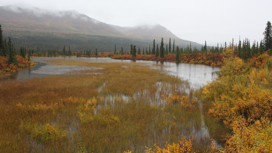 Five miles east of Cantwell