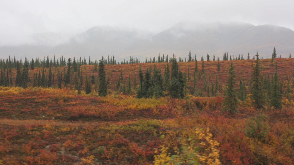 Few miles south of Cantwell