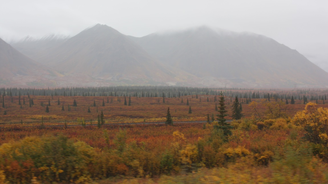In Broad Pass