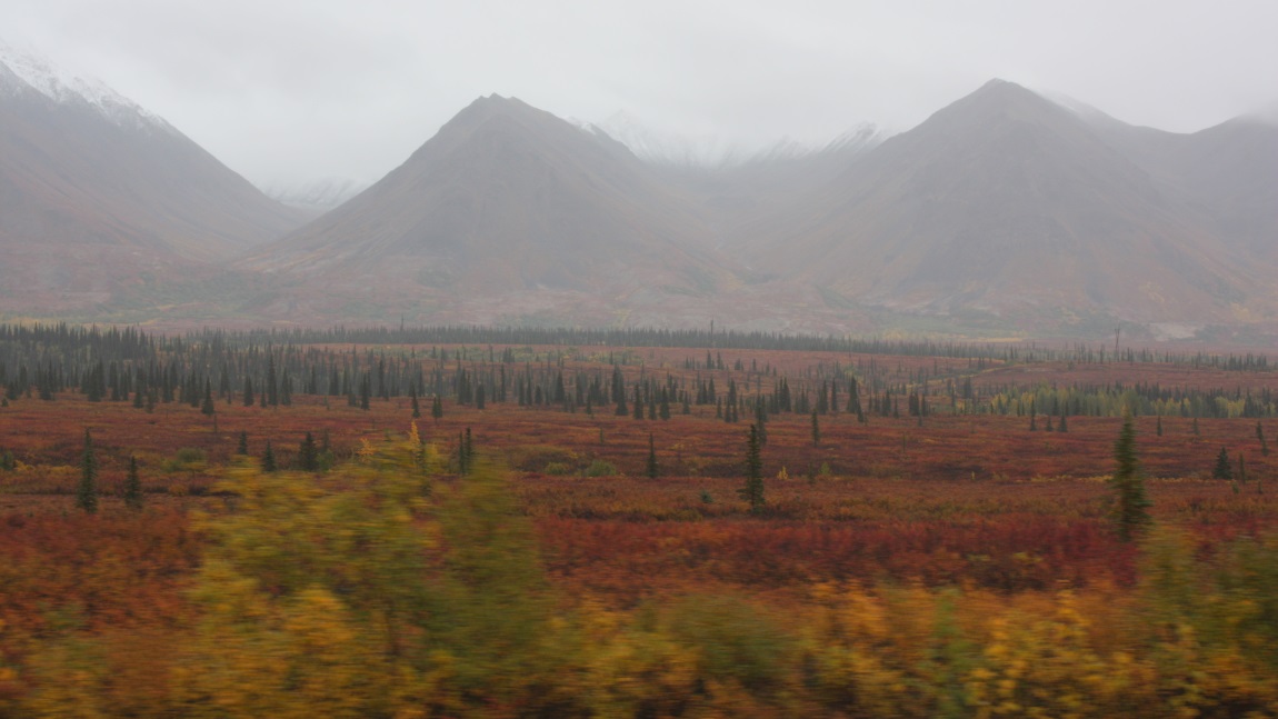 In Broad Pass