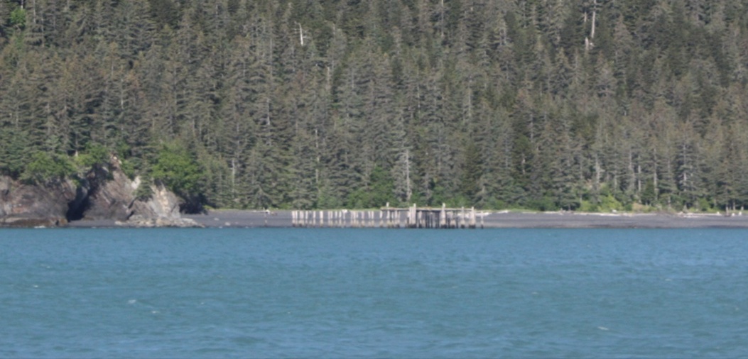 Pilings from a long gone building on the Western shore of Resurrection Bay