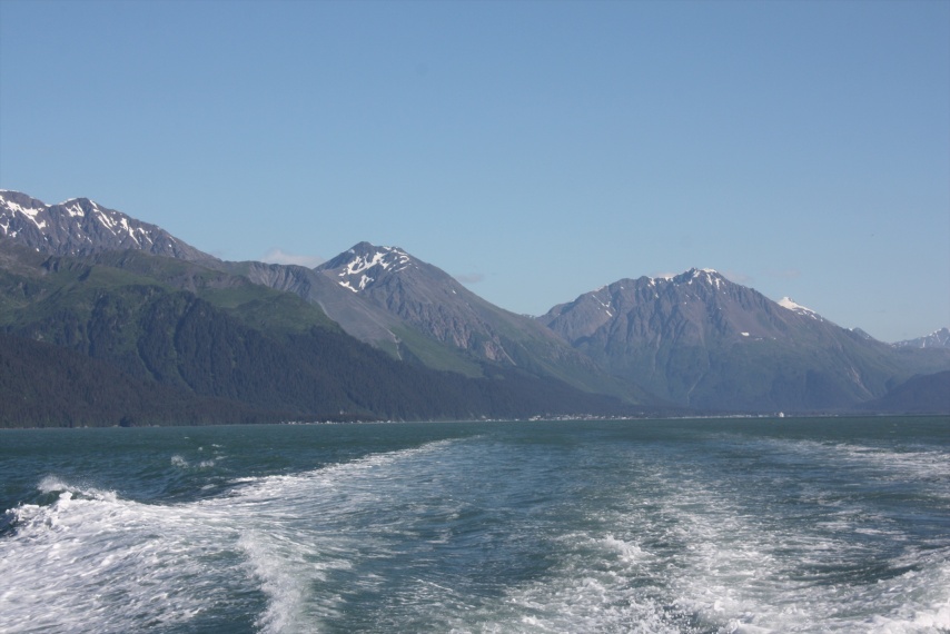 Looking North up Resurrection Bay