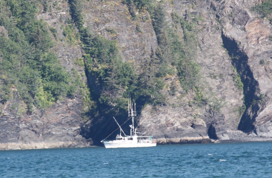 Beautiful day for a boat ride