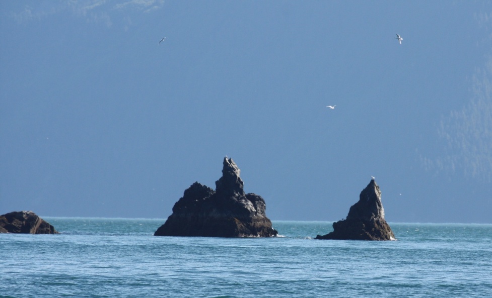 Neat rock formations at the end of Resurrection Bay