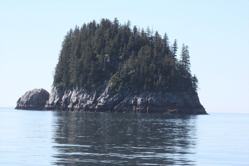Neat little island near Harbor Island in Aialik Bay