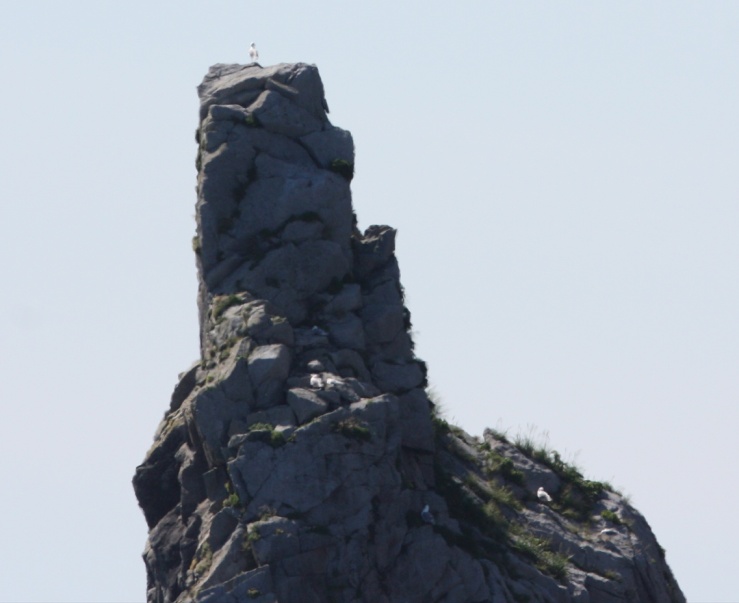 High lookout
