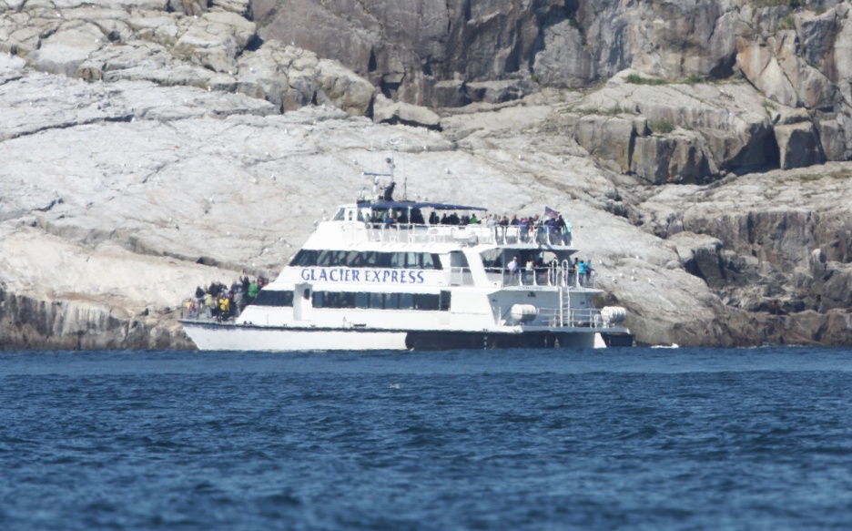 Another tour boat out at the Chiswell Islands