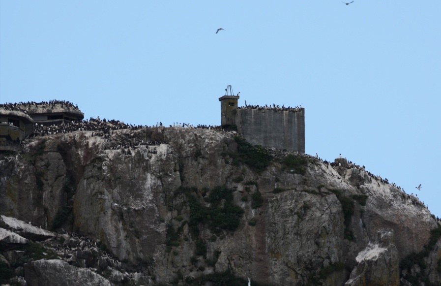 World War II lookouts and cannon mounts at Cape Resurrection