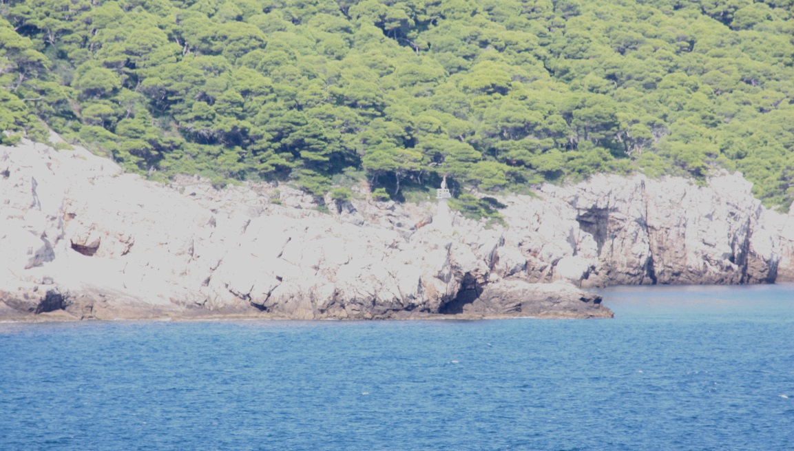 Navigation light