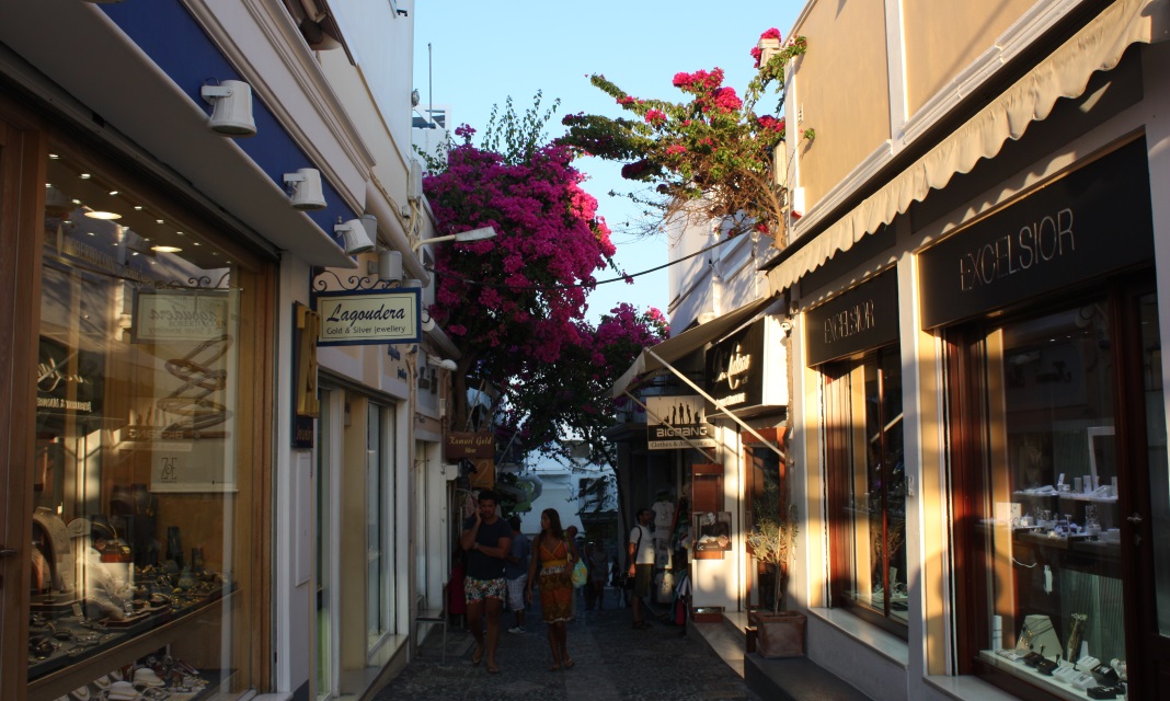 Large flowering plants above the walkways
