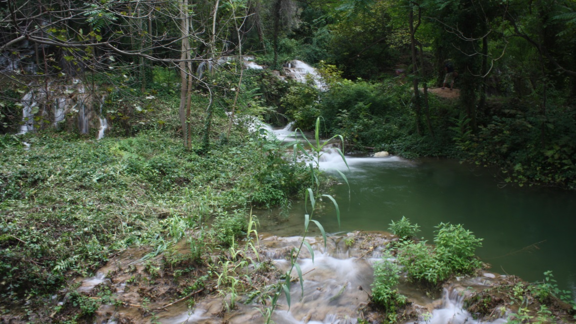 Long exposure of a calm area