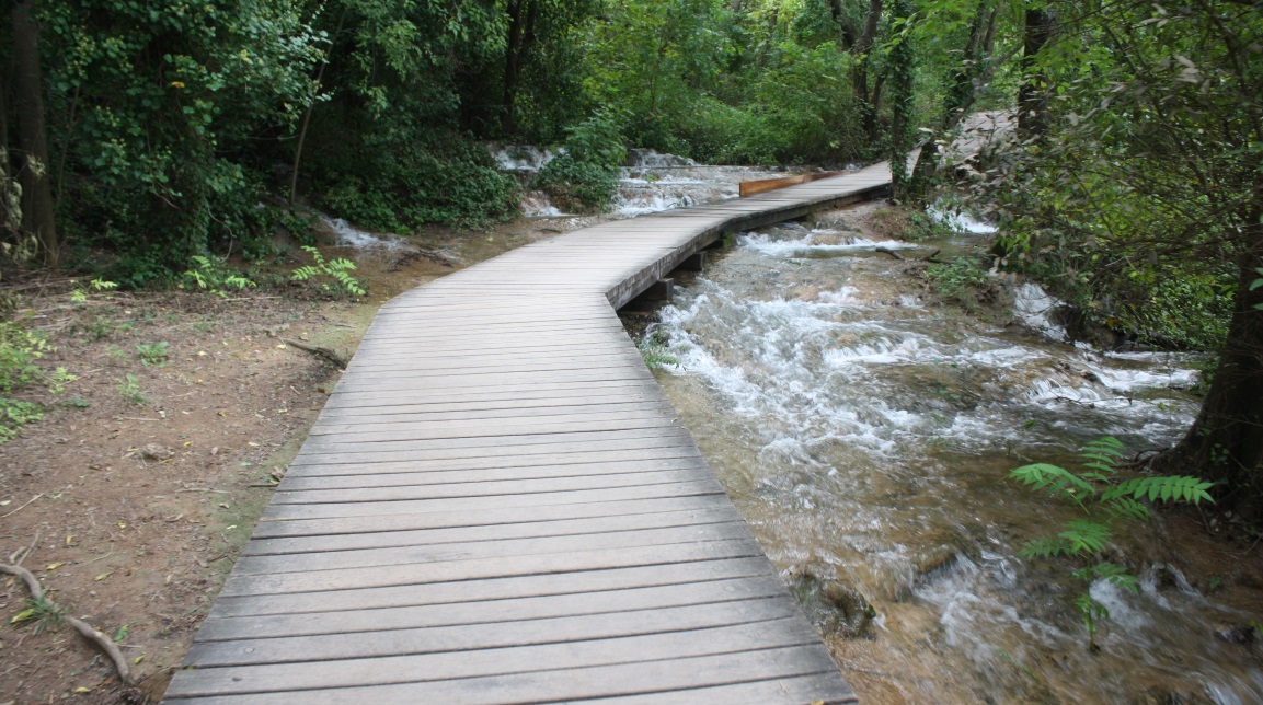 Raised boardwalks keep your feet dry