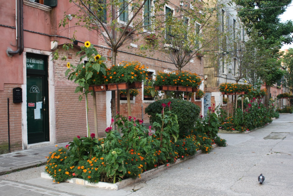 A nice garden behind our hotel