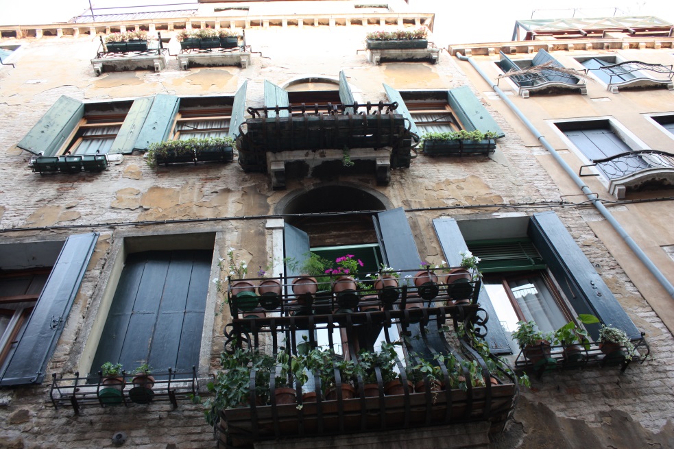 No room for a garden, but window flower pots are quite abundant