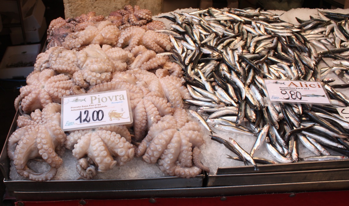 Octopus is available for 12 euros