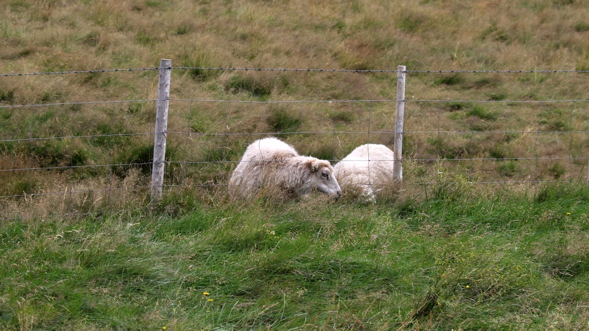 Two residents of Kirkjubol