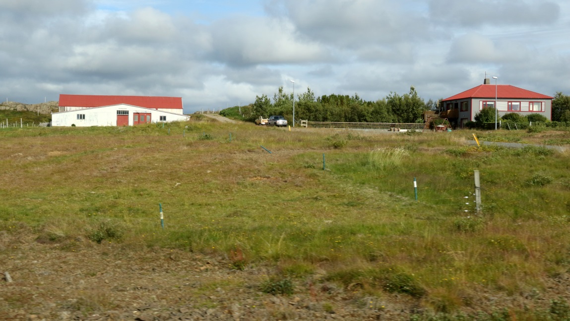 Farm on Route 54