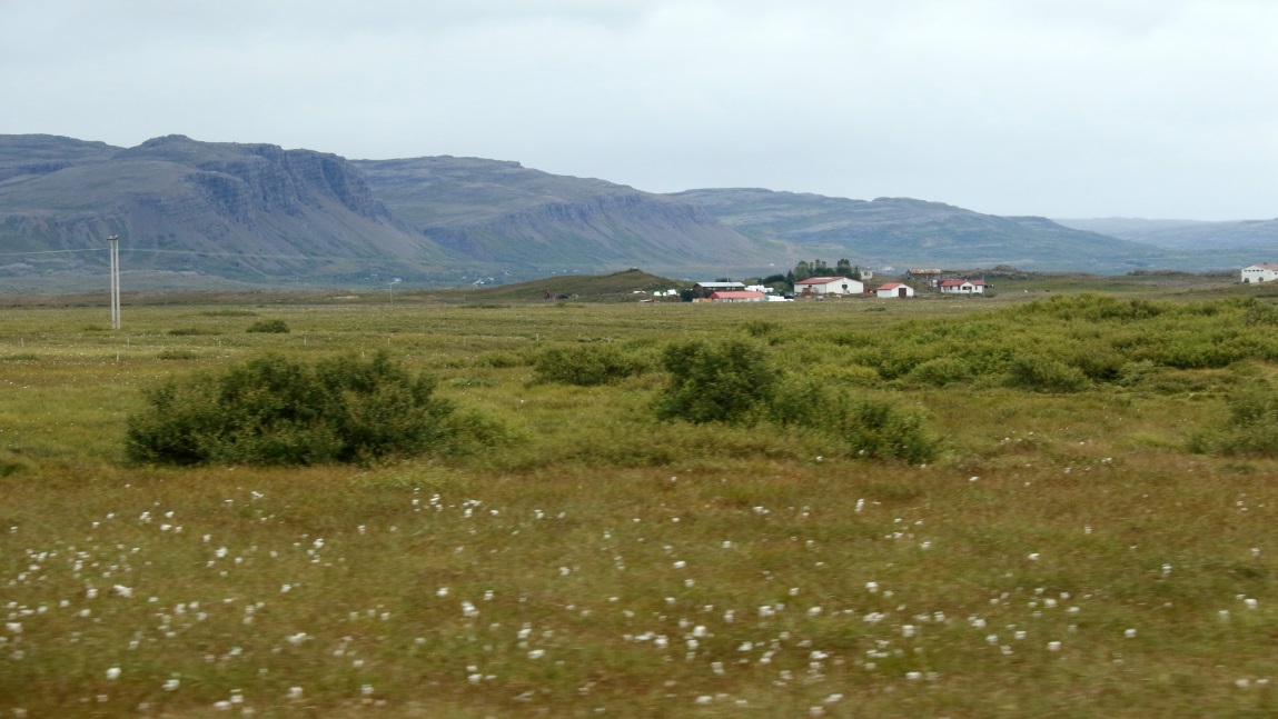 Farms East of Route 54