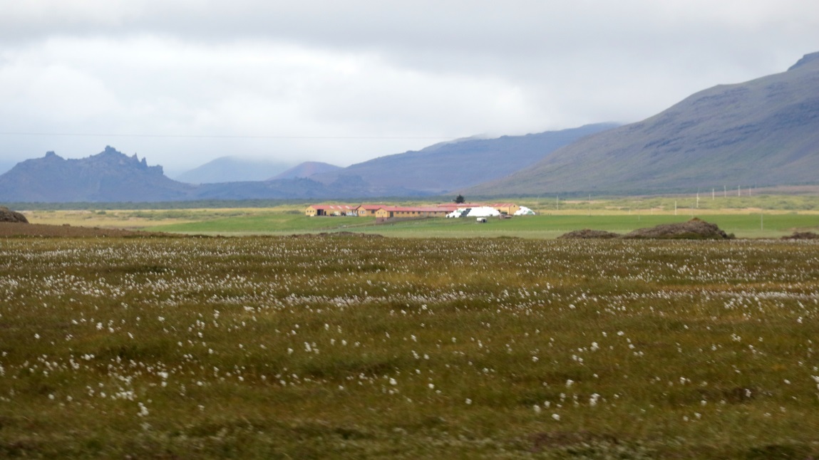 Farms East of Route 54