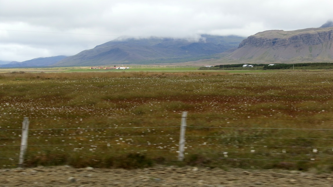 Closer view of the farm