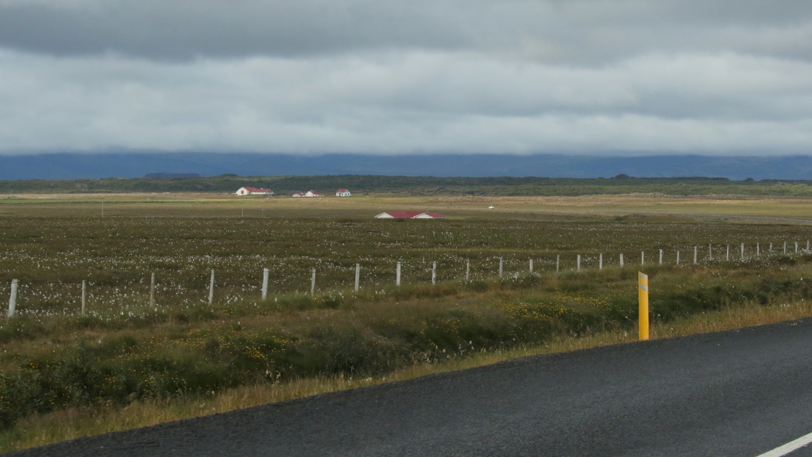 Another farm along Route 54