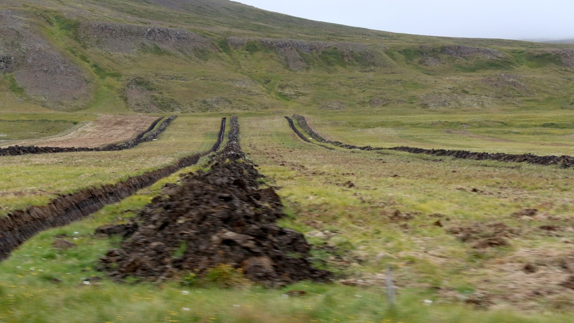Drainage ditches