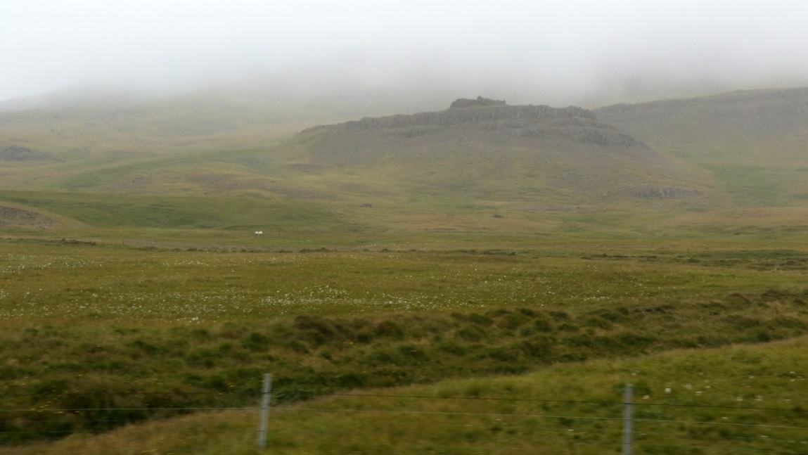 Low clouds