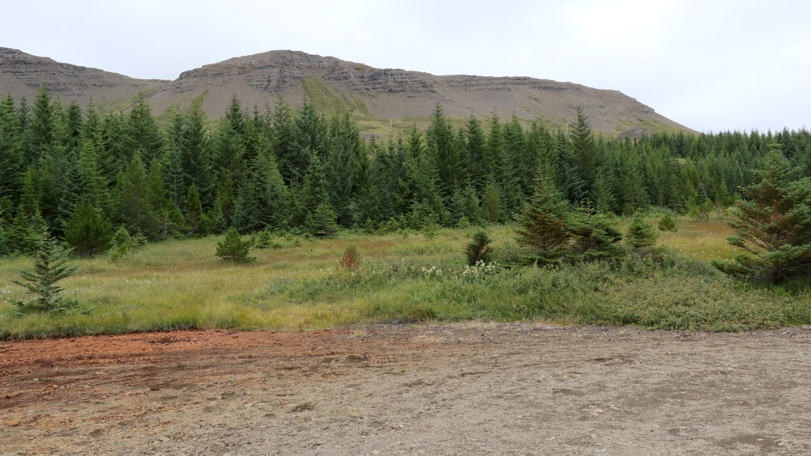 The Lgafell Hills from our lunch stop