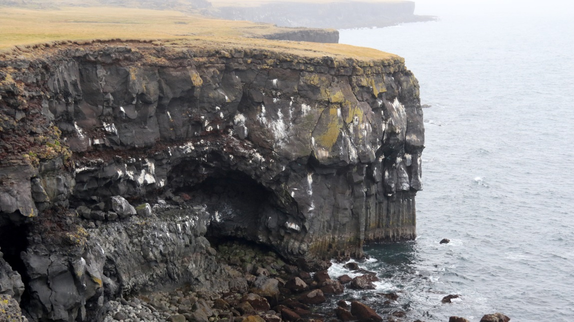 This is a popular area for bird watching