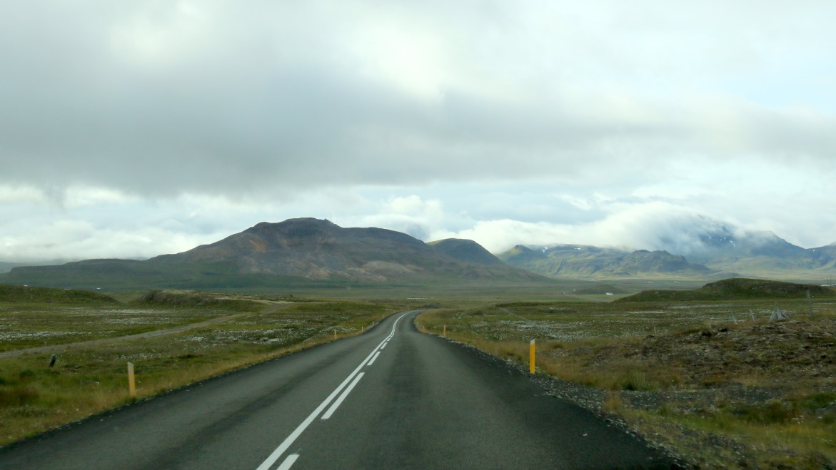 White spots in the grass