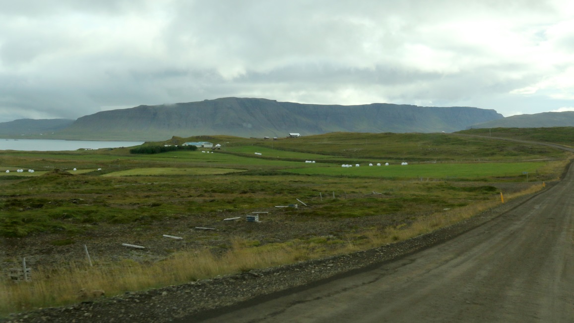 The Hlar farm on the coast of lftafjrur Bay