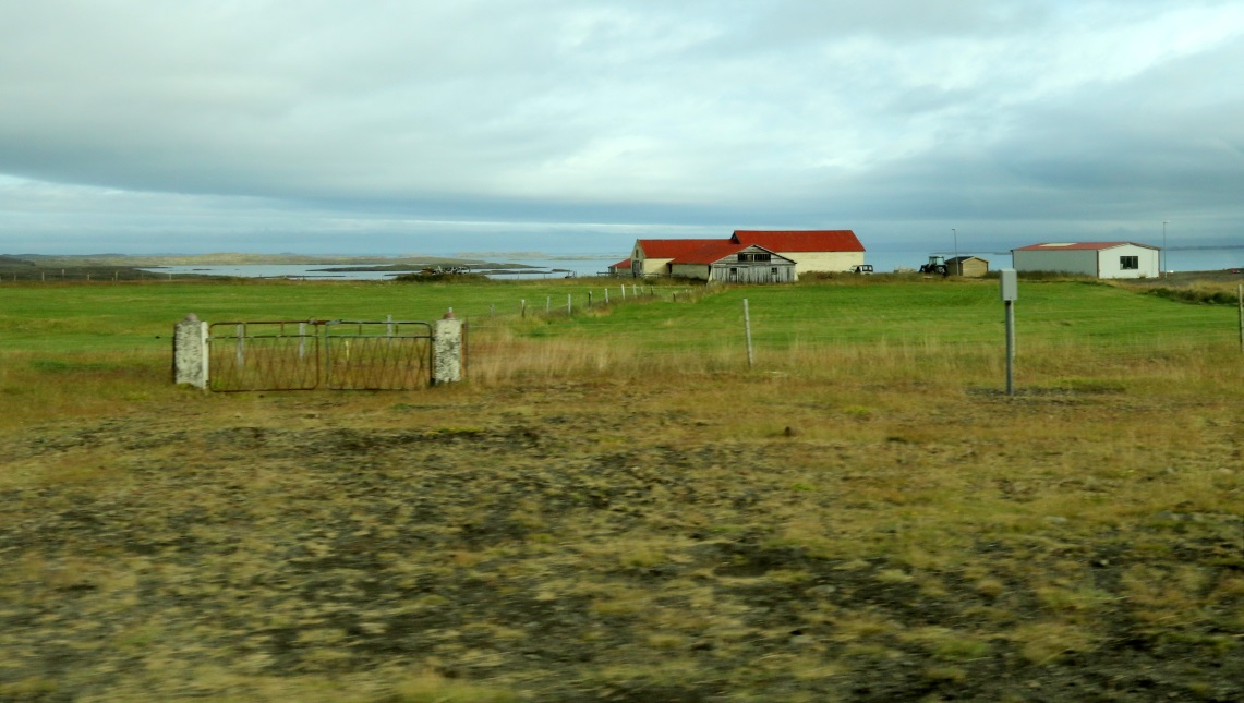 The Svelgs farm on lftafjrur Bay